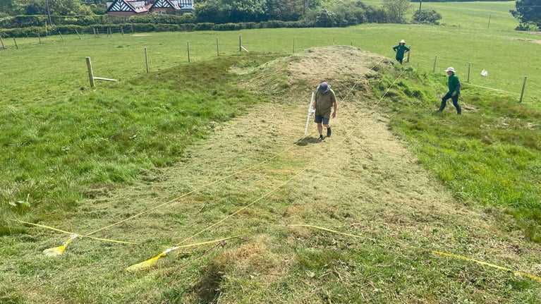 Volunteers surveying grassy banks of Headon Warren